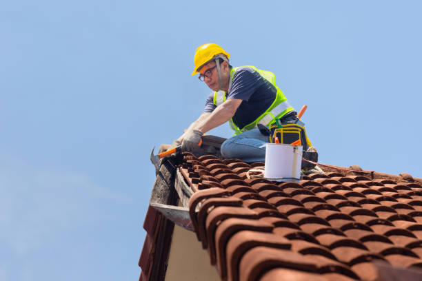 Best Roof Ventilation Installation  in East Palestine, OH